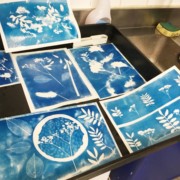 Cyanotype 